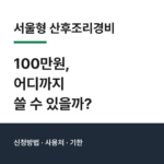 서울형 산후조리경비 100만원 신청방법 사용처 정리 01-1-8
